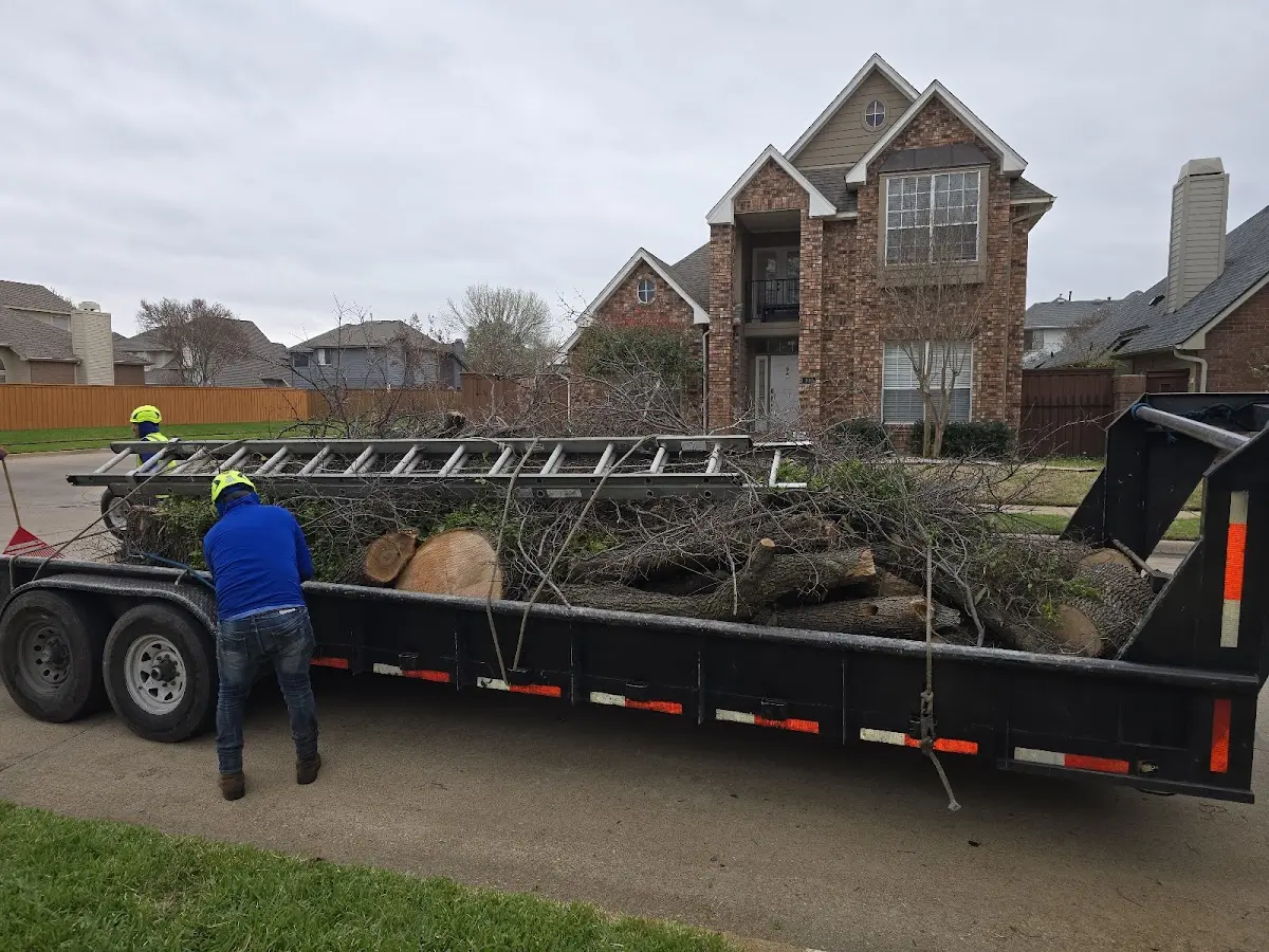 Expert Tree Fertilization with proper safety equipment in Morgantown